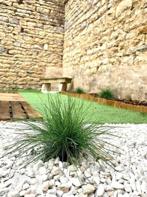 L'Eden, Apt 4 Prs Avec Jardin En Centre Ville Dijon Kültér fotó